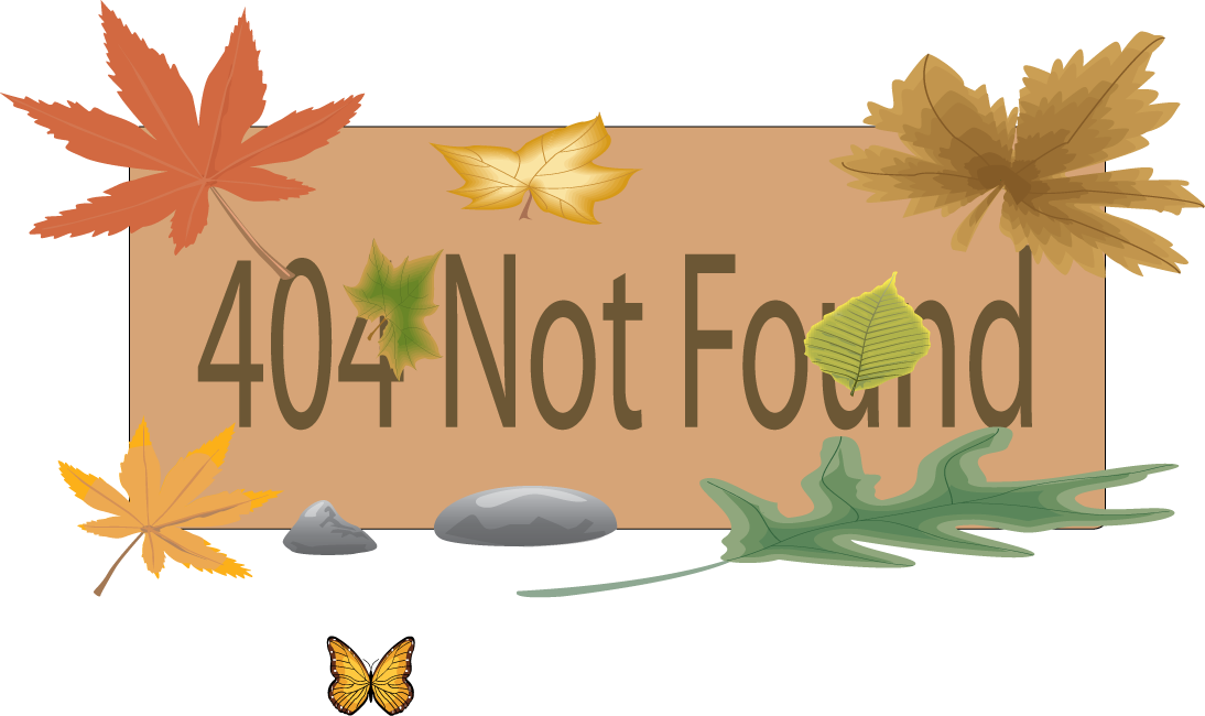 404 Not Found